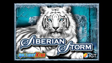 the siberian storm deluxe